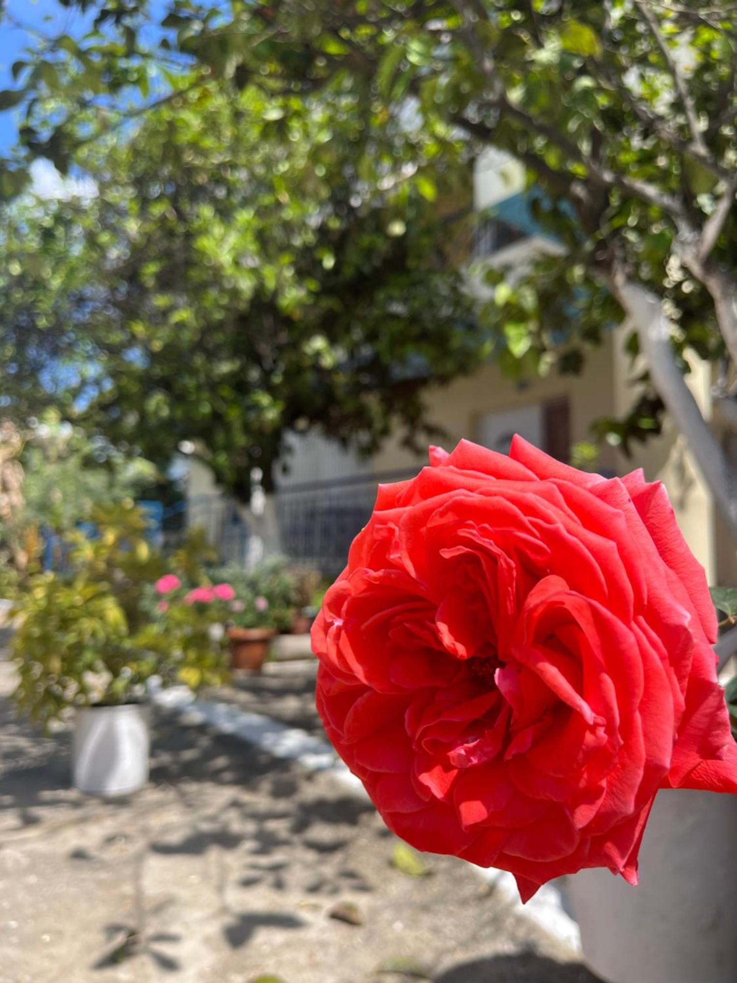 Hotel Portokali هيماري المظهر الخارجي الصورة