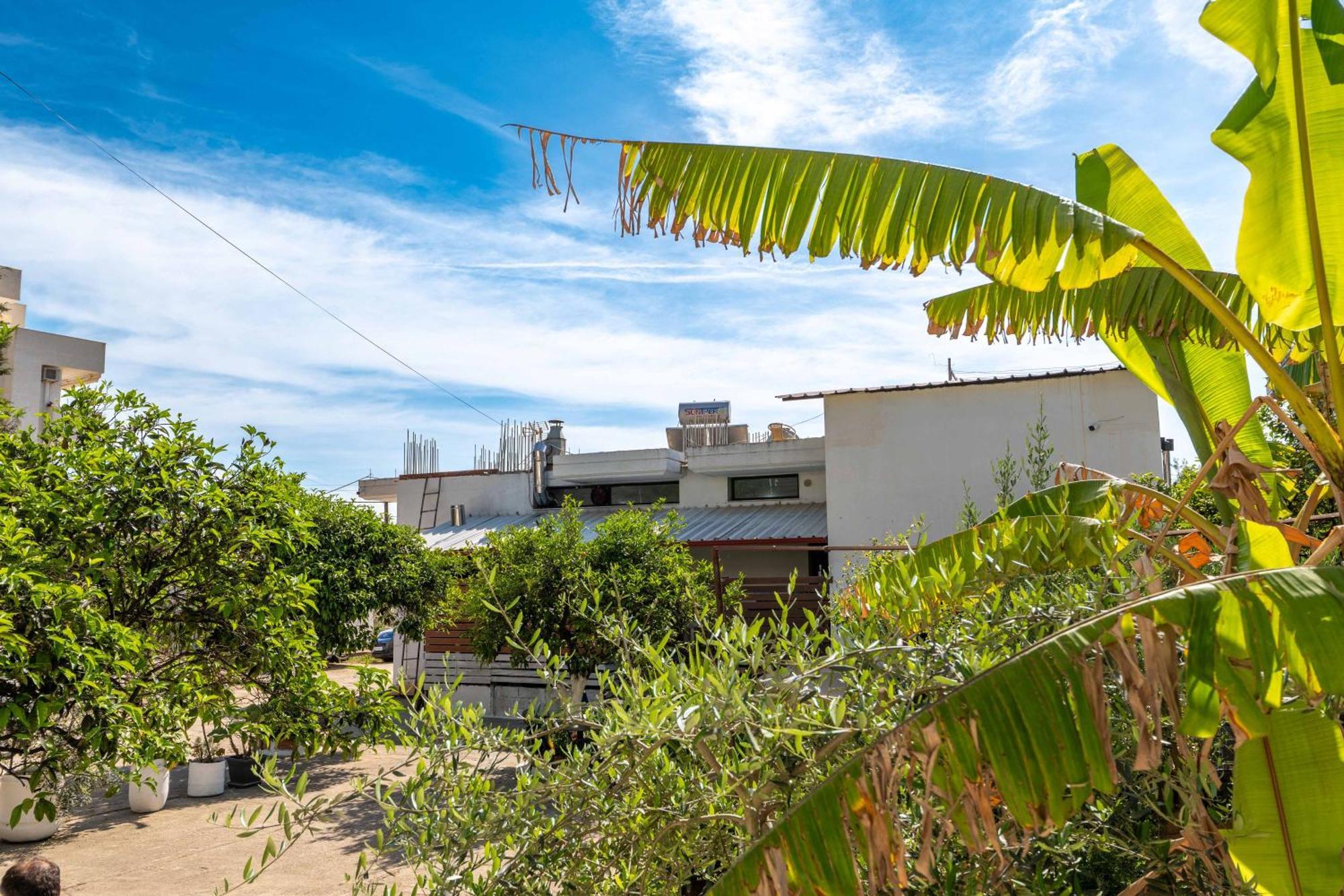 Hotel Portokali هيماري المظهر الخارجي الصورة